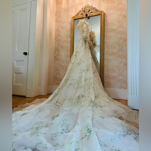 Monique Lhuillier Bloom Dress - Picture 4 of 14